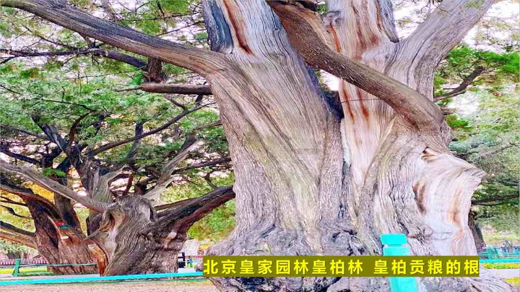 图片8.jpg
