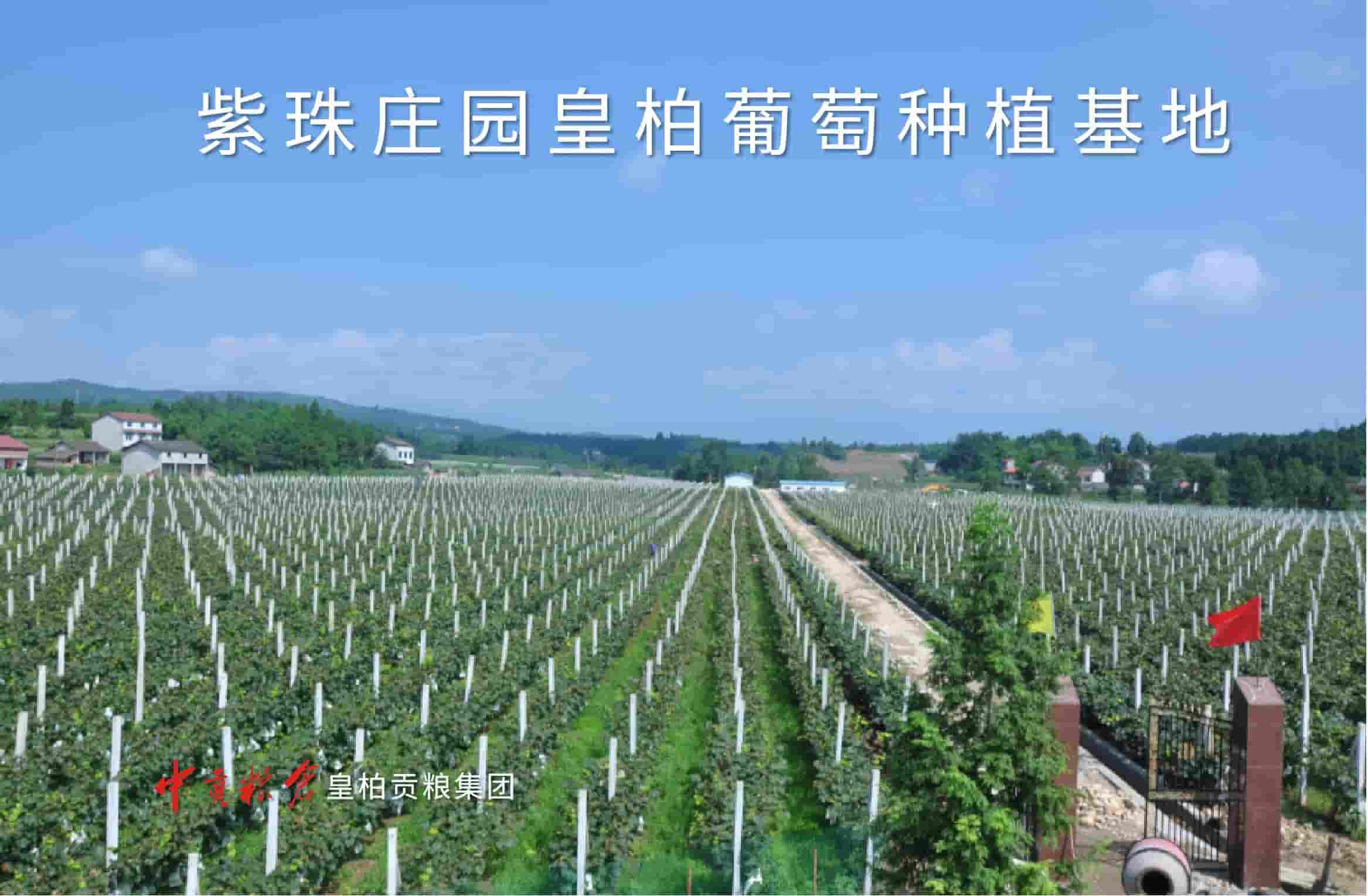 图片63.jpg
