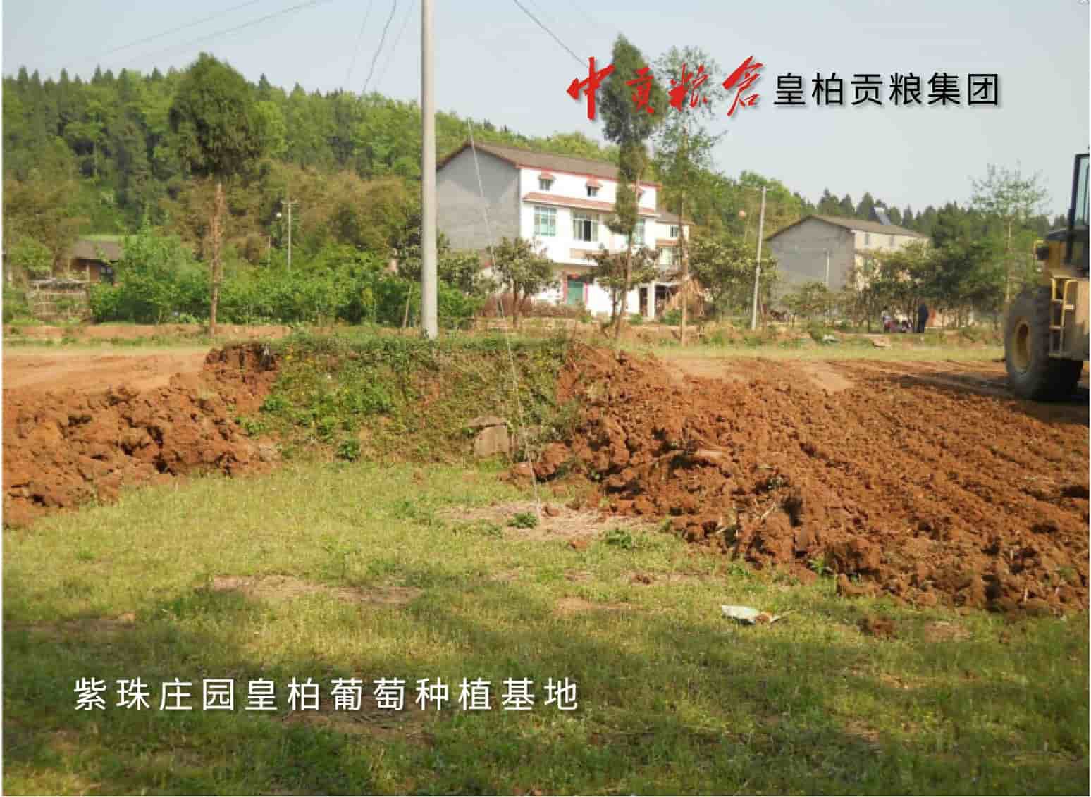 图片47.jpg
