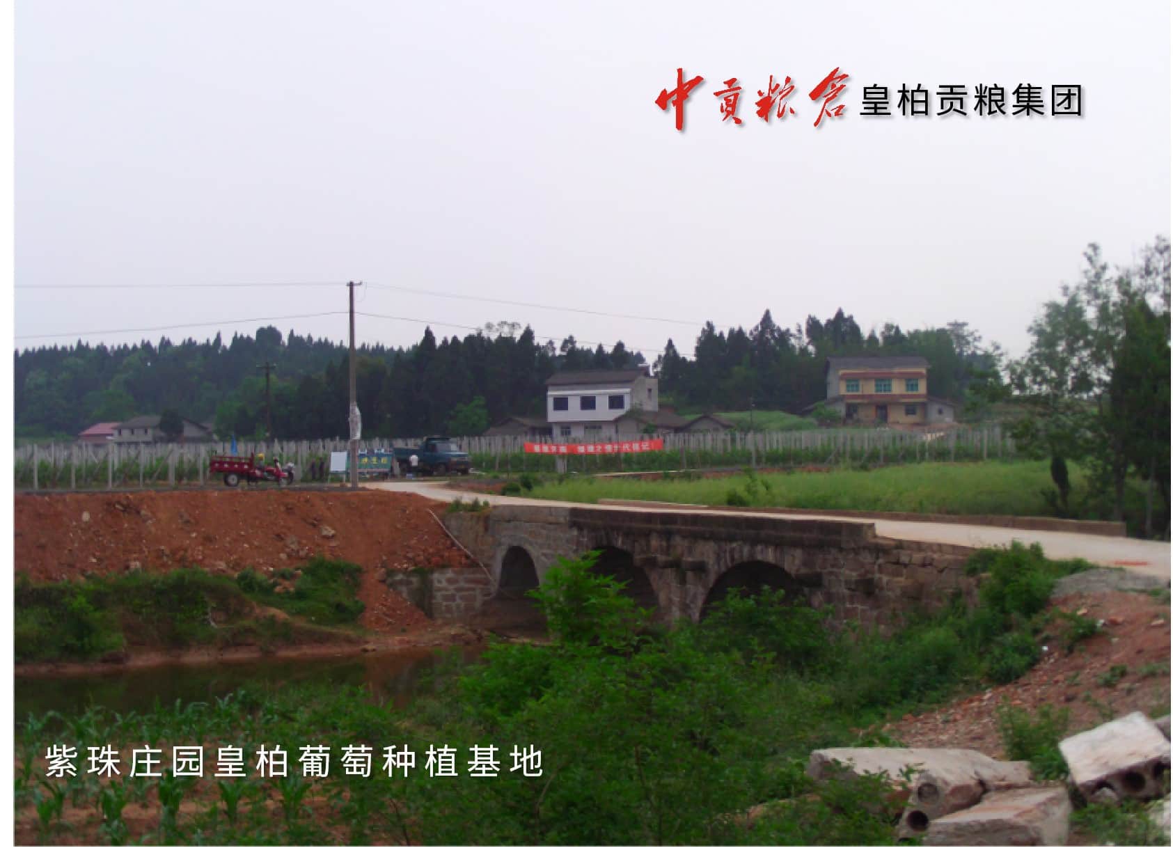 图片46.jpg