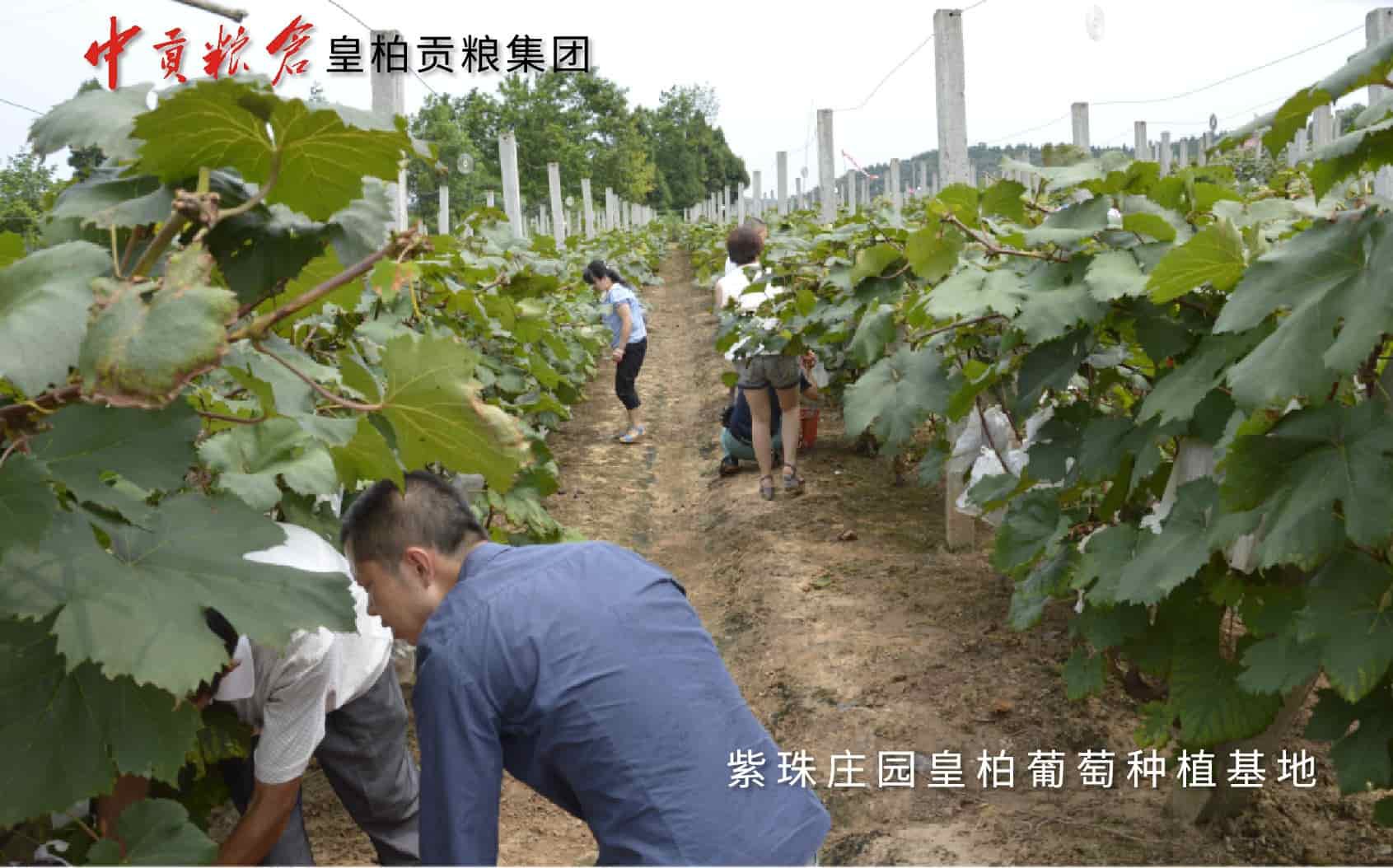 图片71.jpg