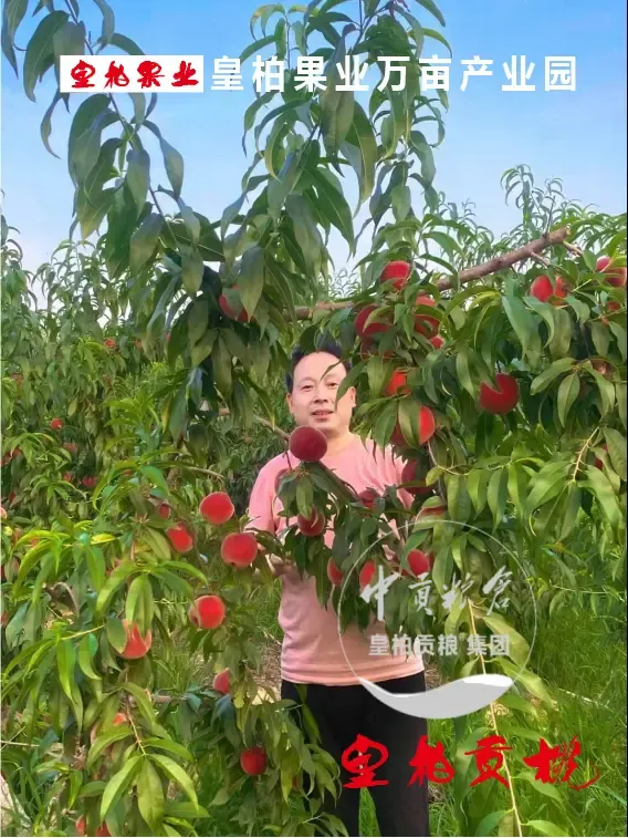 微信图片_20250626212121.webp