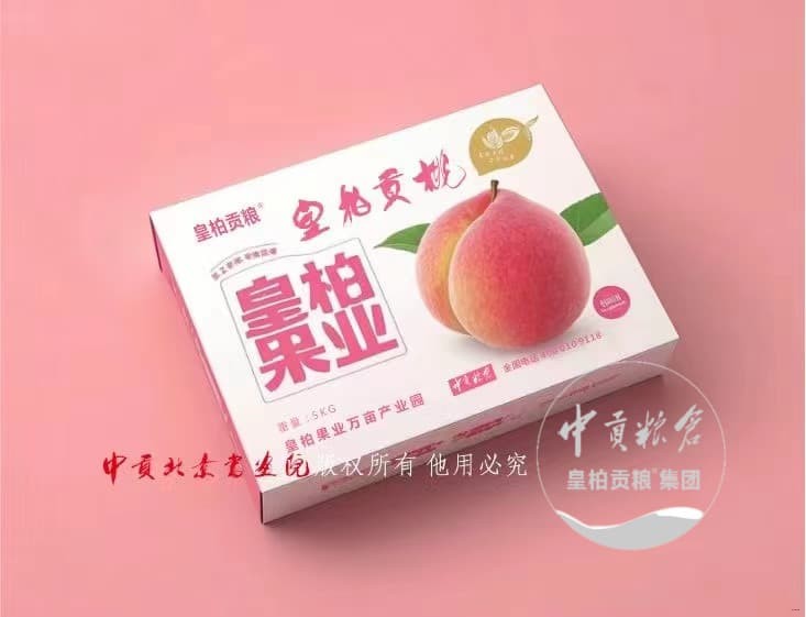 微信图片_20250723193338_264.jpg