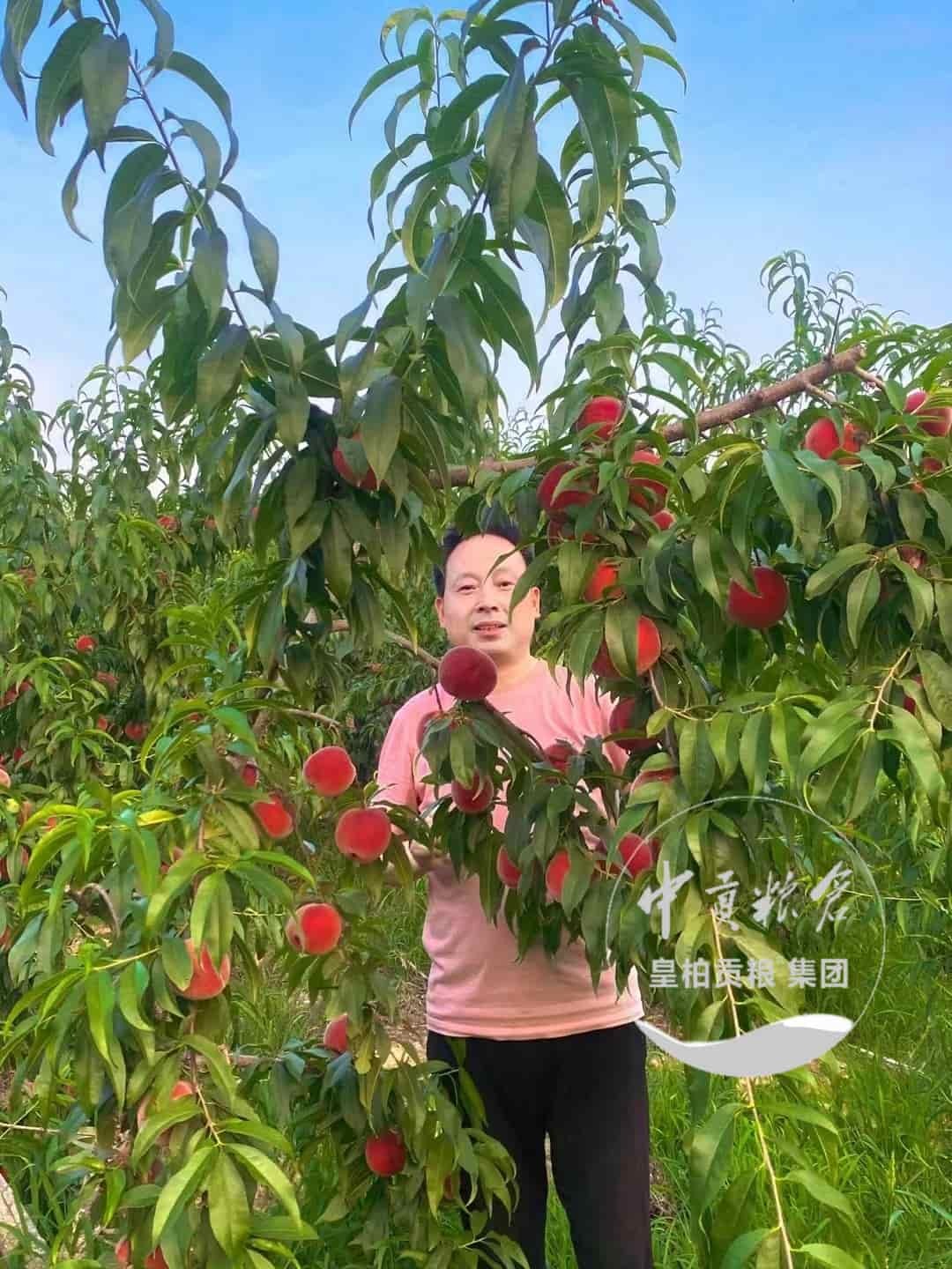 微信图片_20250723193339_267.jpg