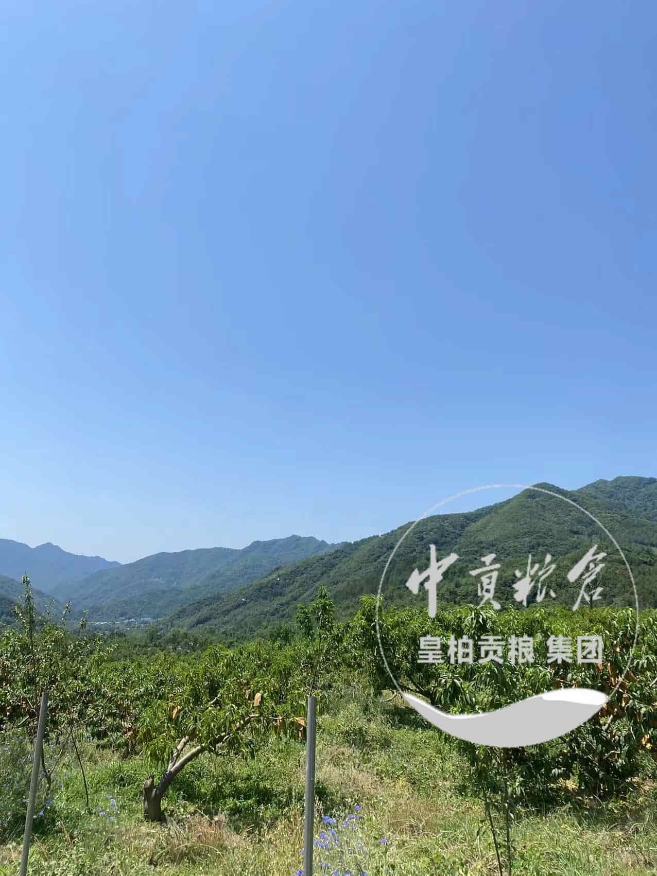 微信图片_20250725205314_298.jpg