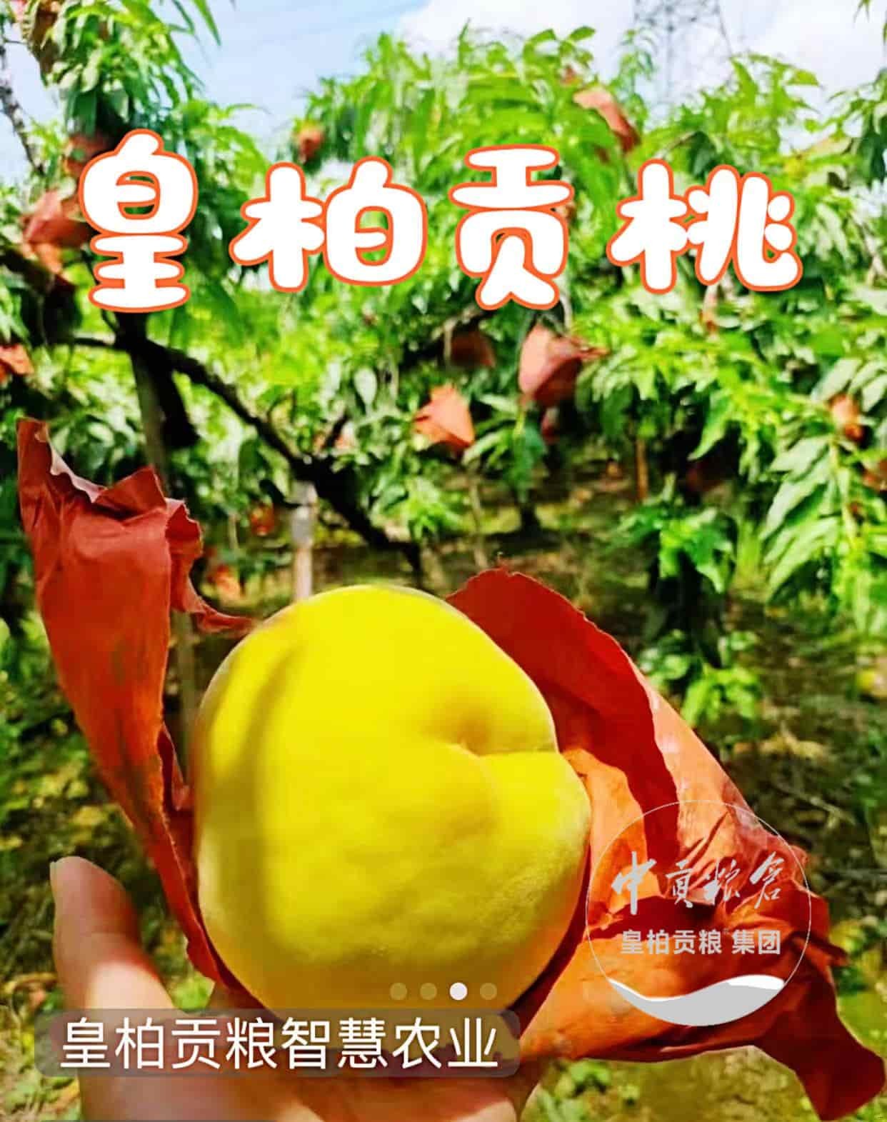 微信图片_20250731133908_315.jpg