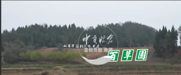 微信图片_20250802164145_334.webp