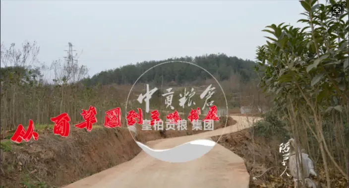 微信图片_20250802164145_332.webp
