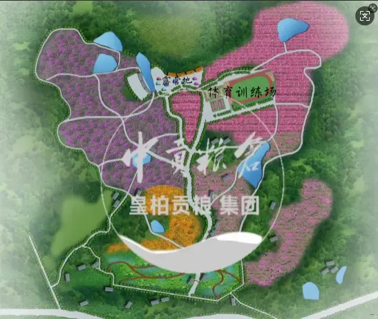 微信图片_20250802164145_331.webp