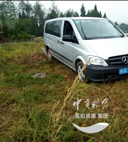 微信图片_20250802173417_336.webp