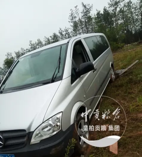 微信图片_20250802173417_337.webp
