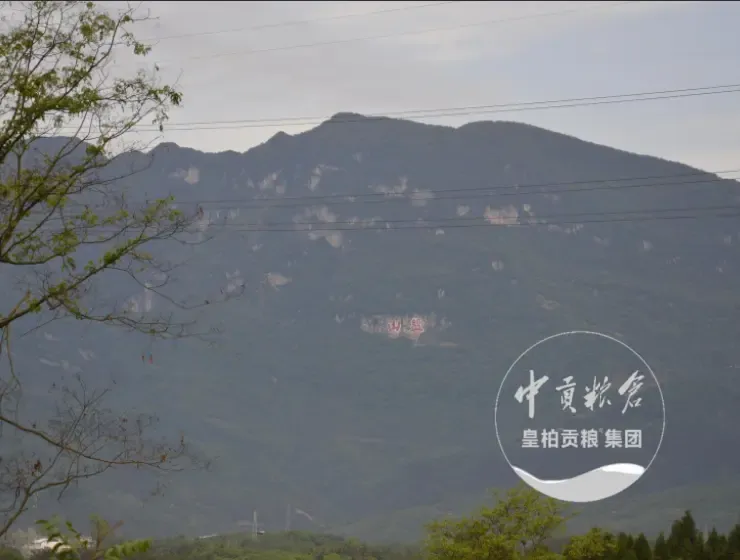 微信图片_20250802191912_345.webp