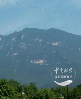 微信图片_20250802191912_348.webp