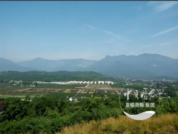 微信图片_20250802191912_346.webp