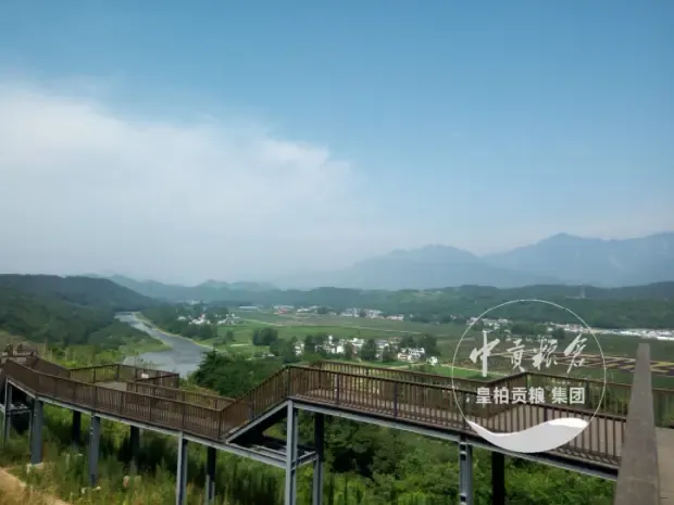 微信图片_20250802191912_347.webp