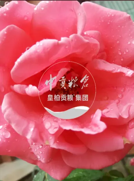 微信图片_20250802192747_349.webp