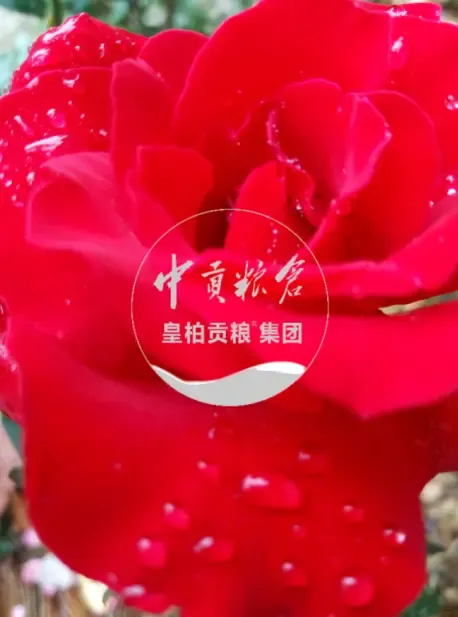 微信图片_20250802192747_352.webp