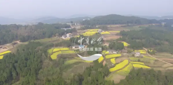 微信图片_20250802195603_354.webp