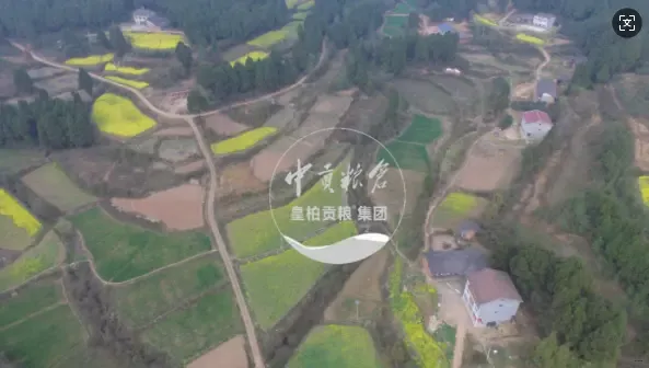 微信图片_20250802195603_357.webp
