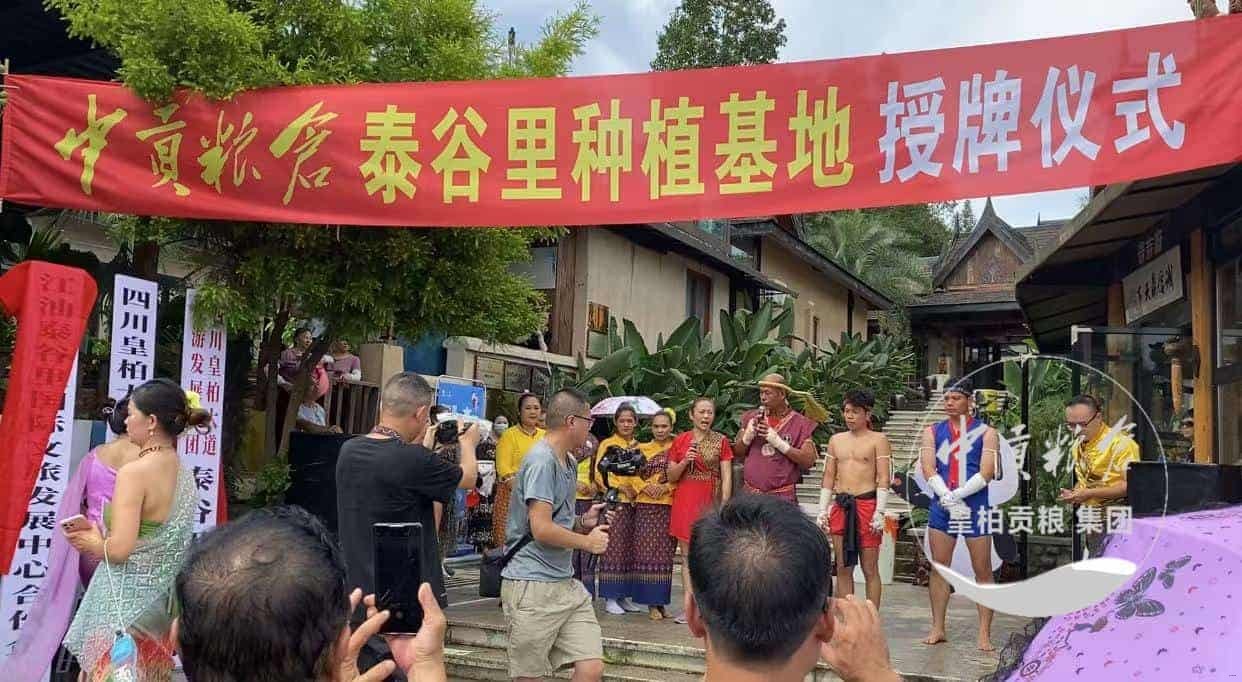 微信图片_20250803075504_386.jpg