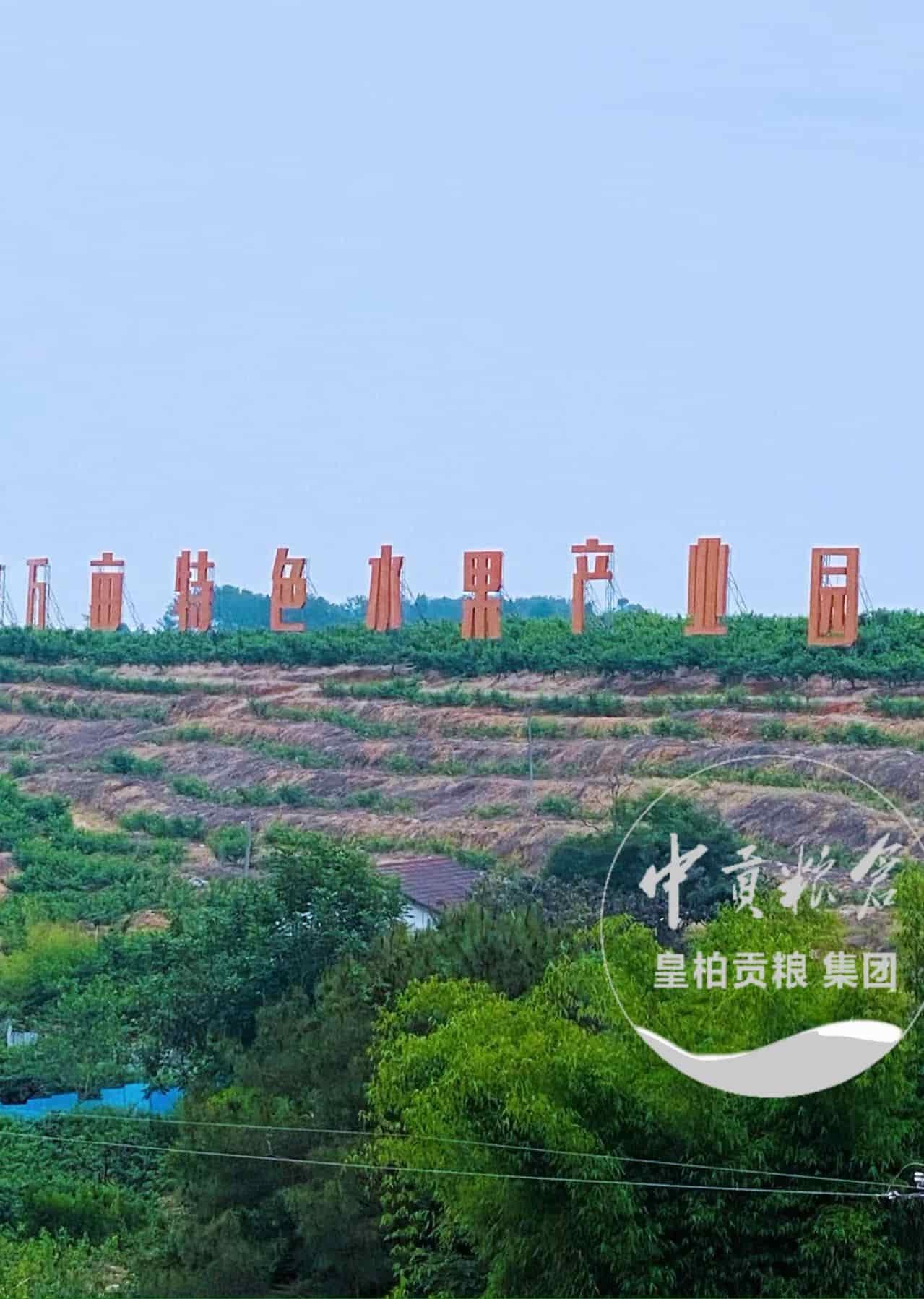 微信图片_20250803075505_365.jpg