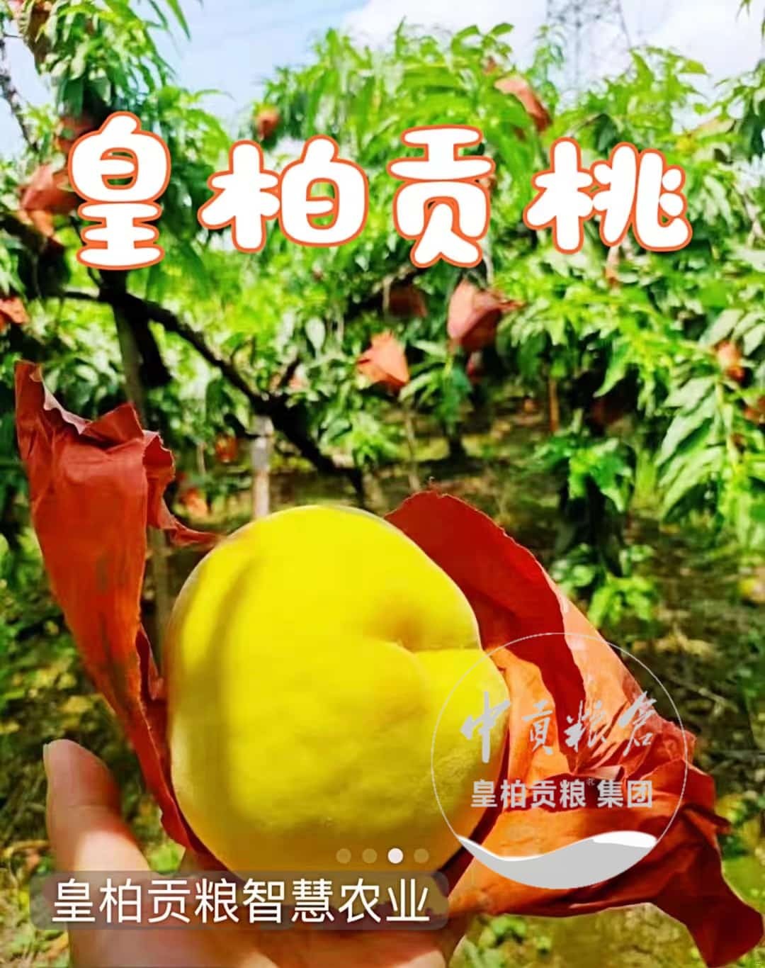 微信图片_20250803102326_391.jpg