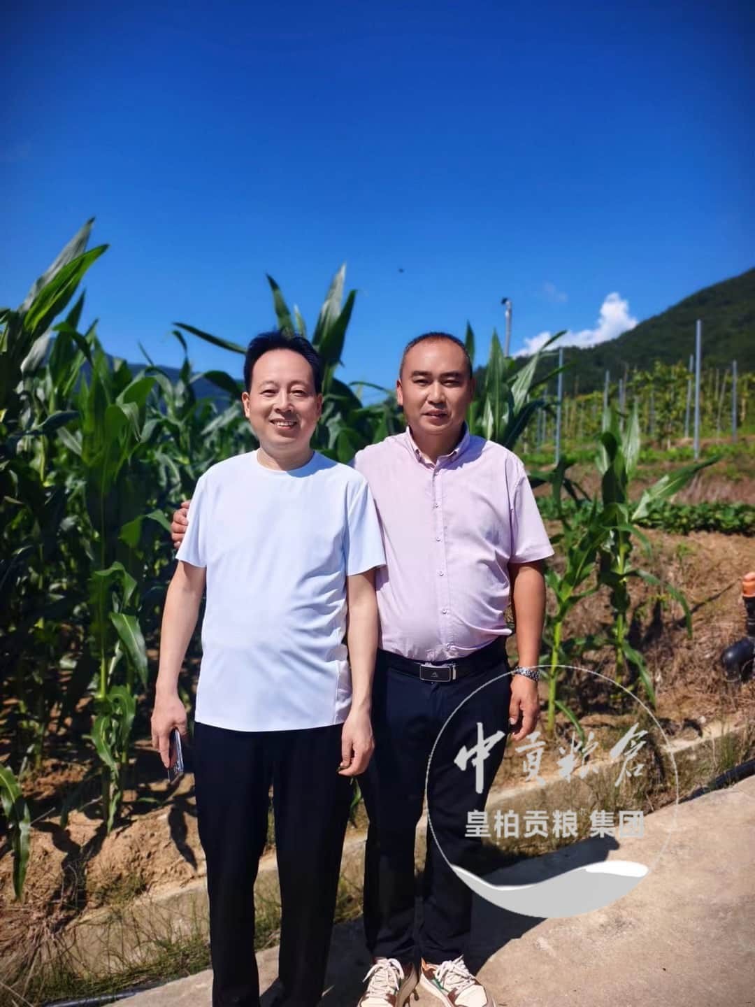 微信图片_20250803102326_397.jpg