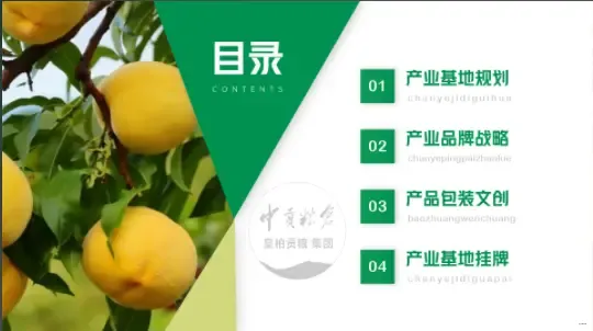 微信图片_20250803130700_417.webp