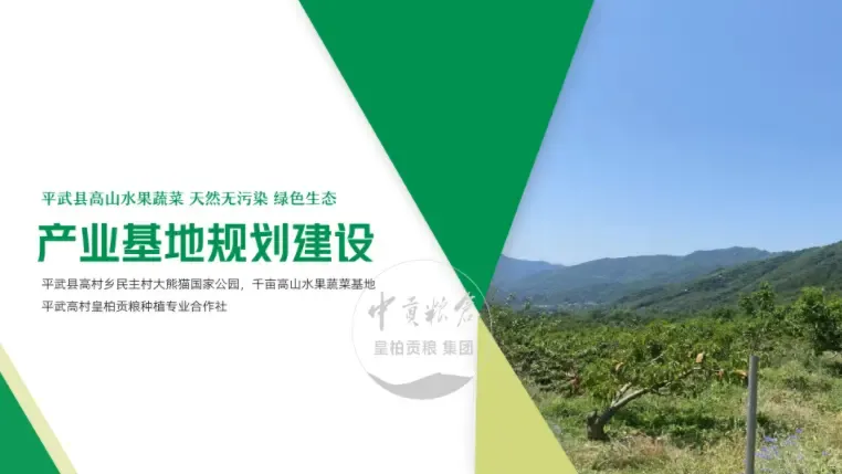 微信图片_20250803130700_422.webp