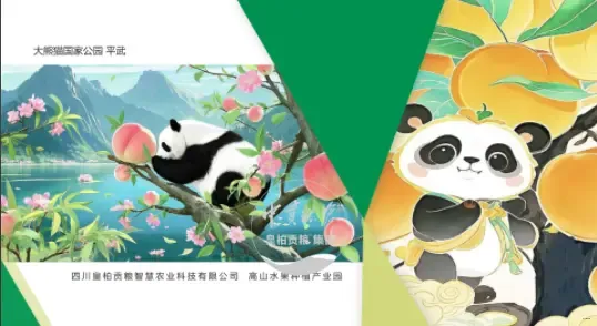 微信图片_20250803130700_421.webp