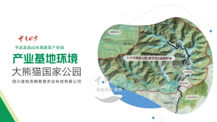 微信图片_20250803130700_420.webp