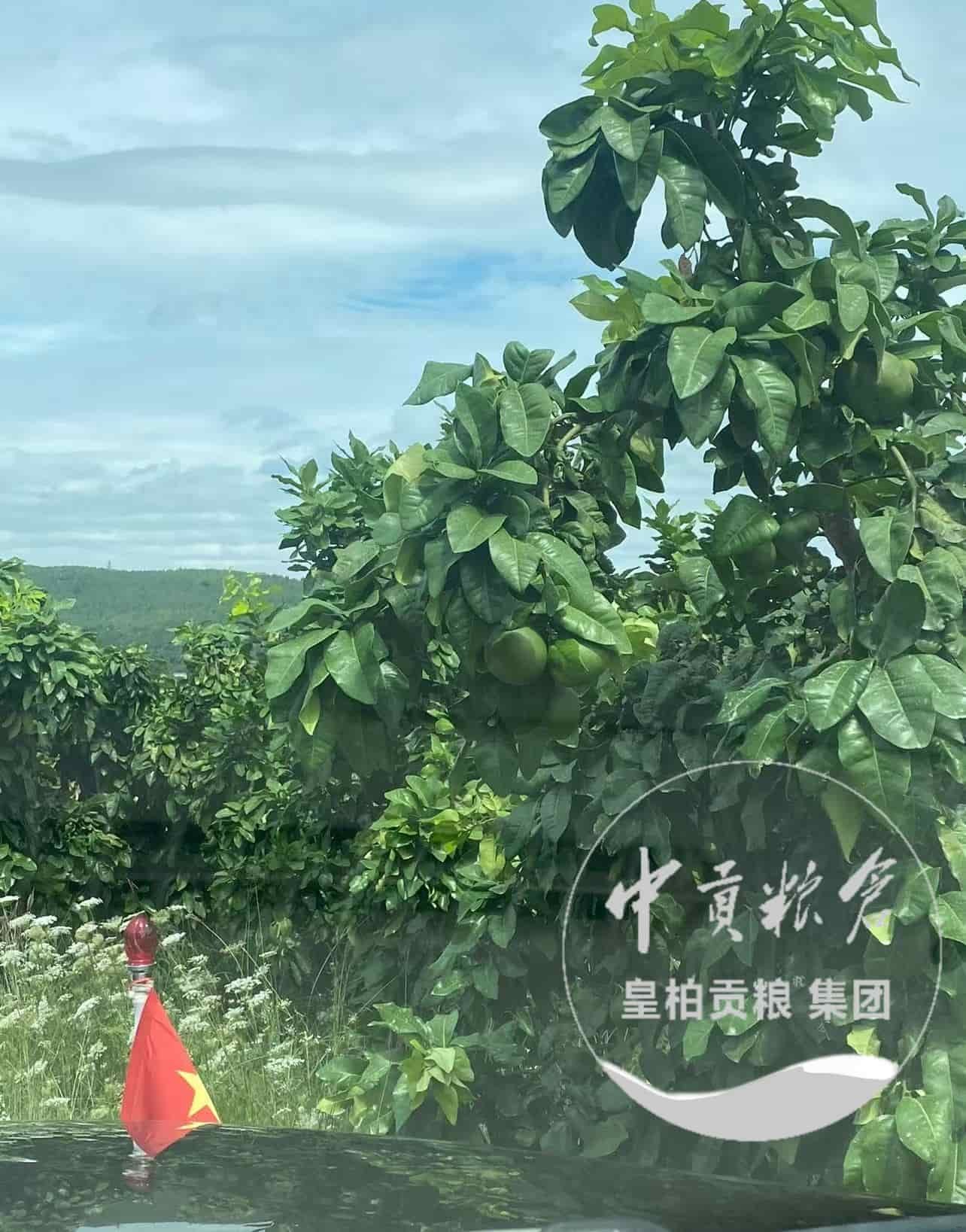 微信图片_20250912191033_606_9.jpg