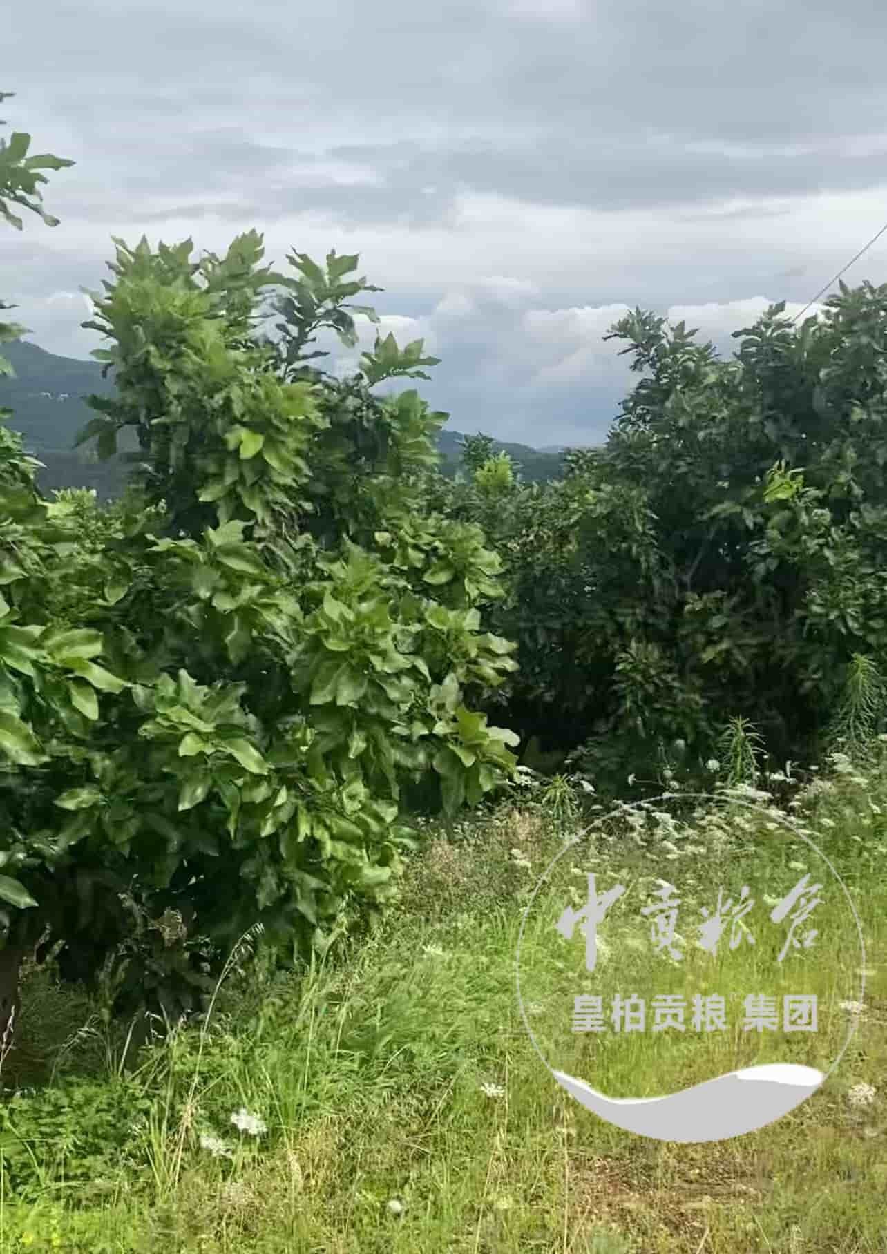 微信图片_20250912191035_608_9.jpg