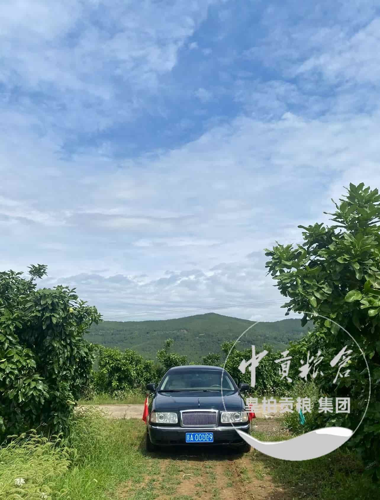 微信图片_20250912191036_609_9.jpg