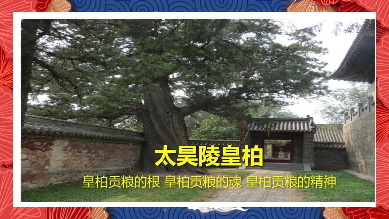 8、全国各地 皇柏_32.jpg