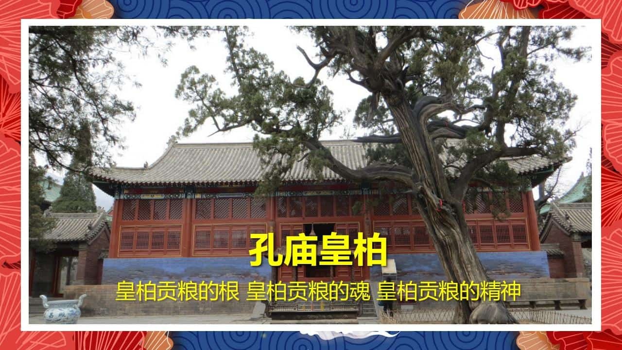 8、全国各地 皇柏_41.jpg