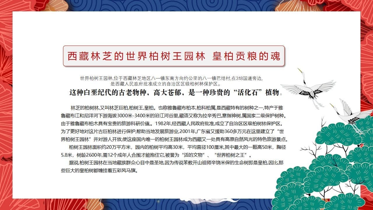 8、全国各地 皇柏_48.jpg