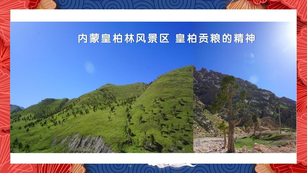 8、全国各地 皇柏_54.jpg 8、全国各地 皇柏_54.jpg