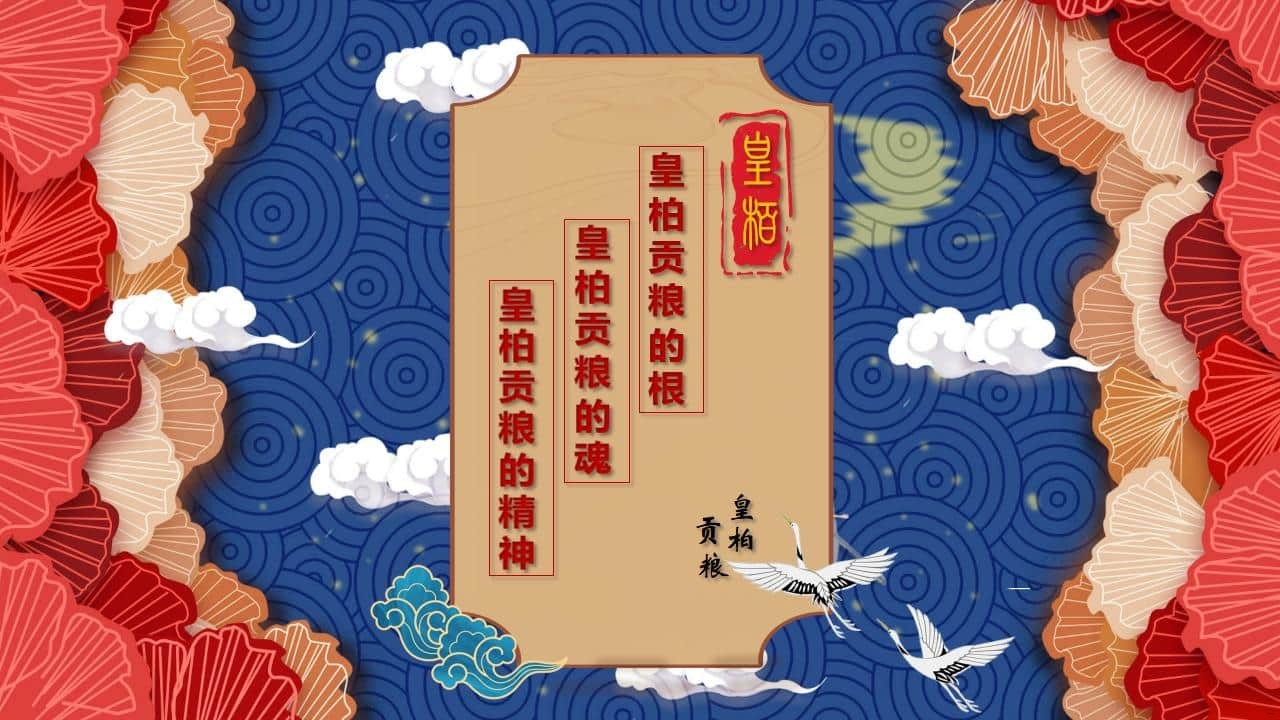 8、全国各地 皇柏_65.jpg