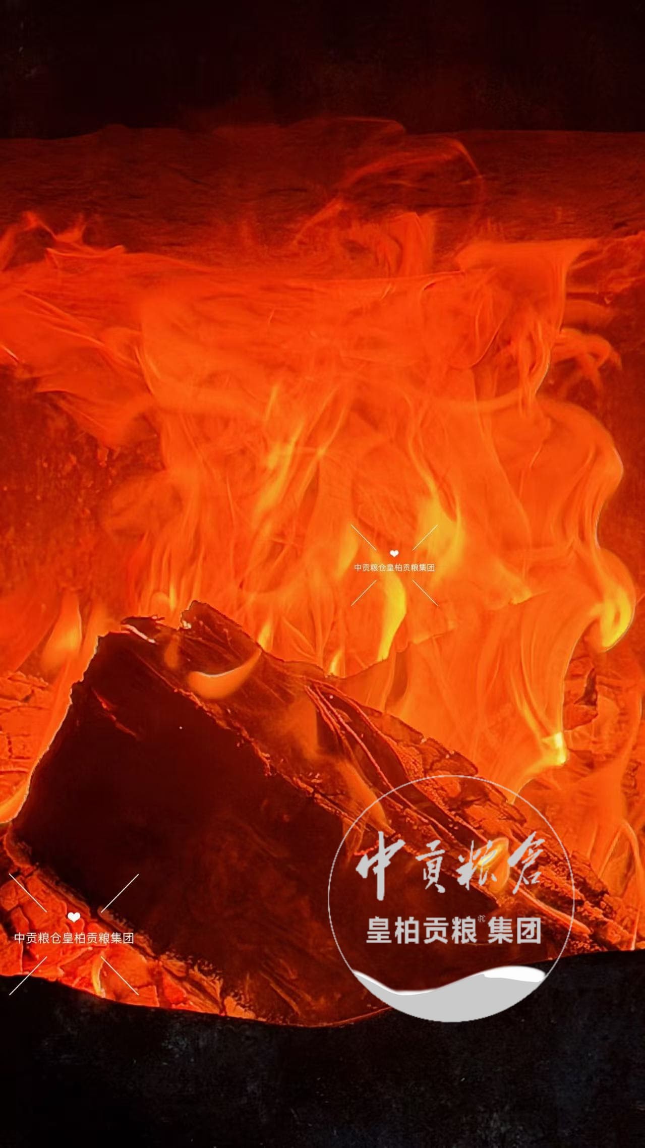 微信图片_20260711164528_94_2.jpg
