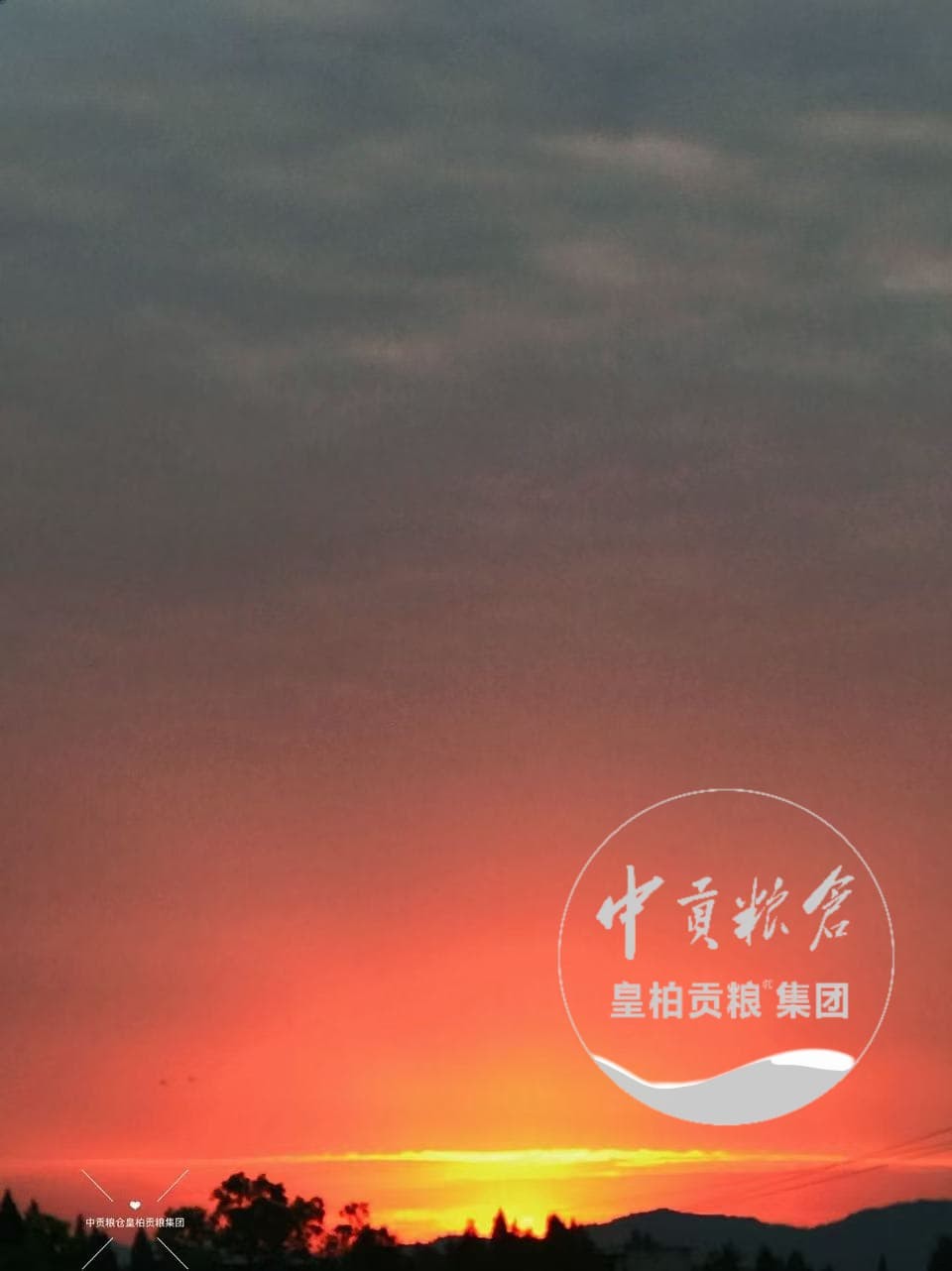 微信图片_20260711213340_158_2.jpg
