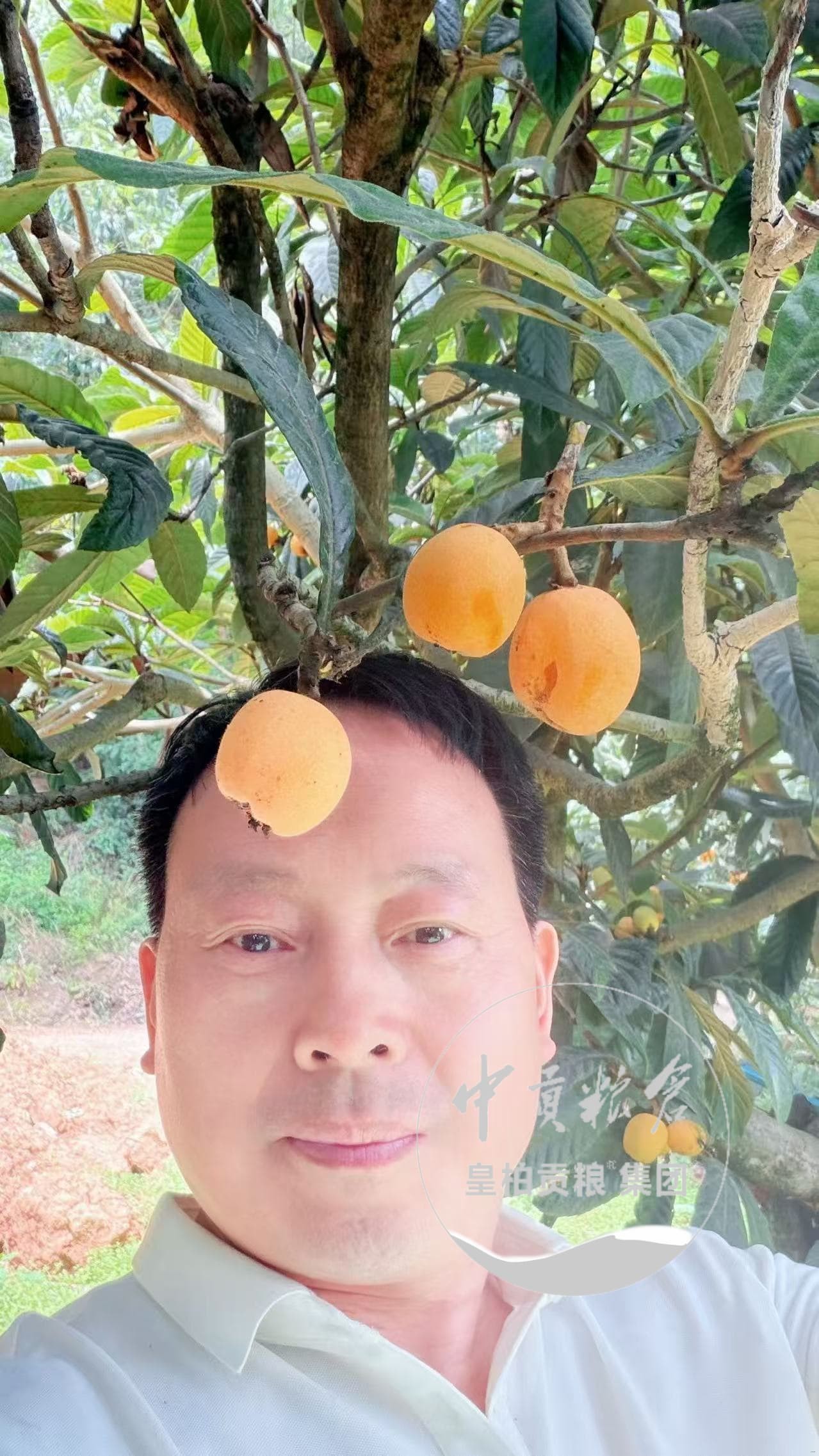 微信图片_20260711165020_138_2.jpg